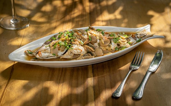 Warum sind Haustiere wichtig für unser seelisches Wohlbefinden?